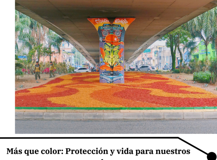 Medellín: Mulch de Colores en Vías