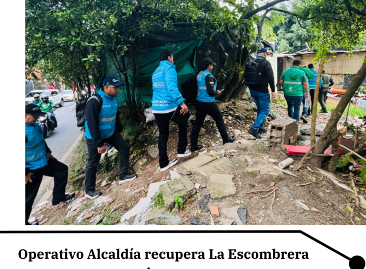 Desmontan 10 construcciones ilegales en La Escombrera