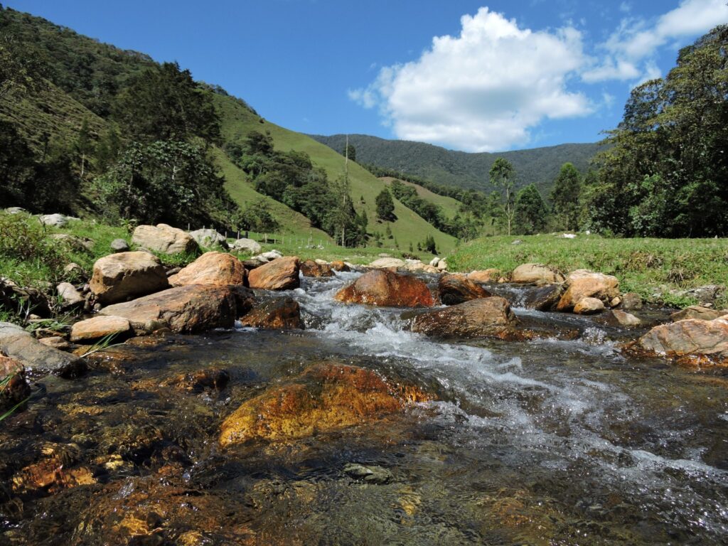 Medellín Protege Cerros Quebradas Bosques