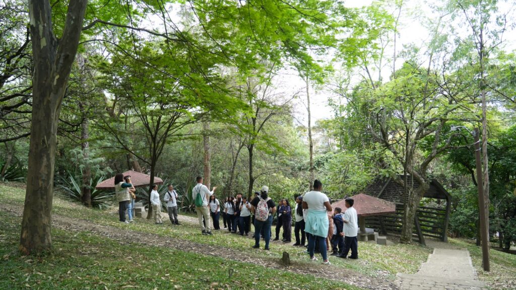 Cerros Tutelares Medellín: Protección Reforzada Temporada Seca