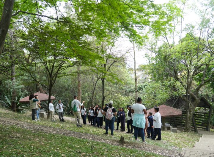 Cerros Tutelares Medellín: Protección Reforzada Temporada Seca
