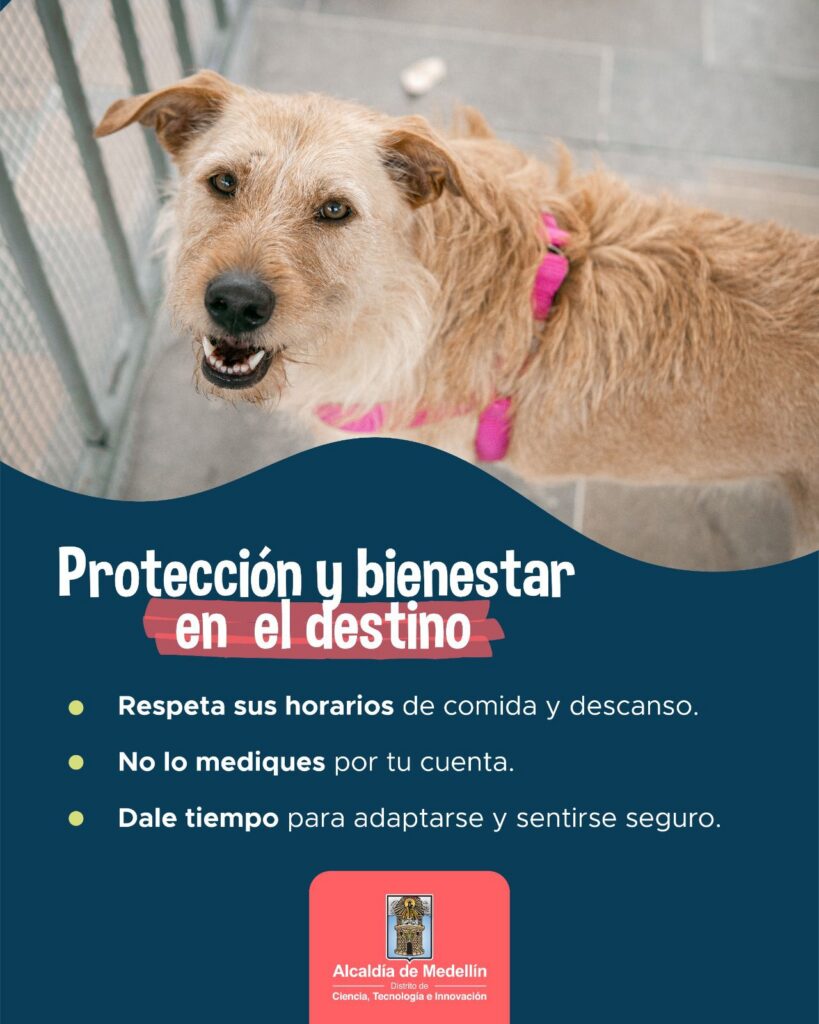 cuidado de animales (1)