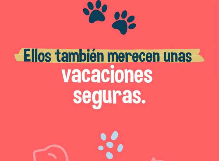 cuidado de animales (2)