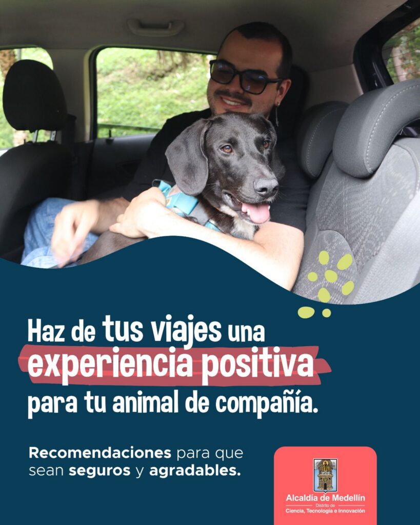 cuidado de animales (3)