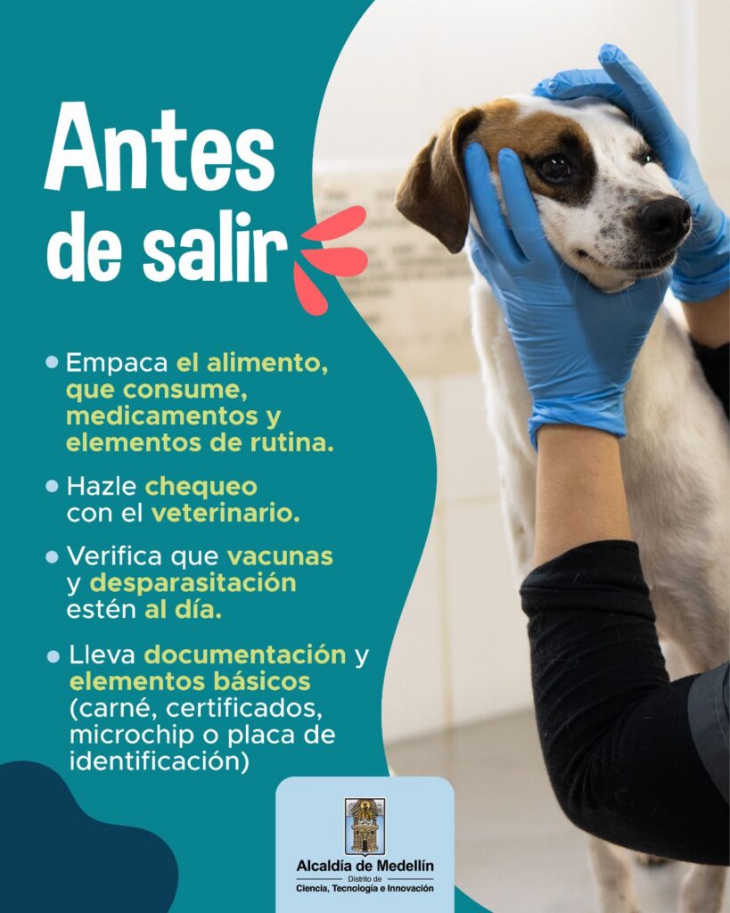 cuidado de animales (4)