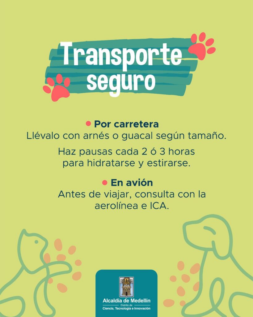 cuidado de animales (5)