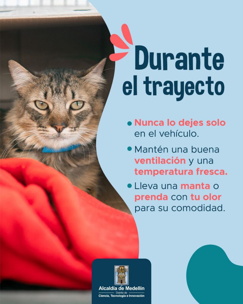 cuidado de animales (6)