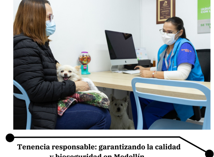 Visitas Veterinarias en Medellín