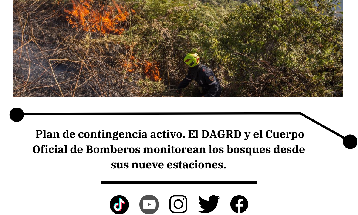 Medellín pide prevenir incendIOS y proteger la biodiversidad