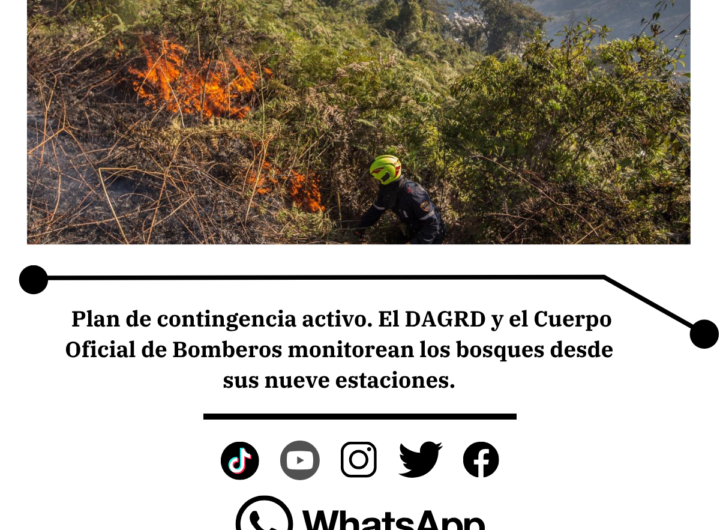 Medellín pide prevenir incendIOS y proteger la biodiversidad
