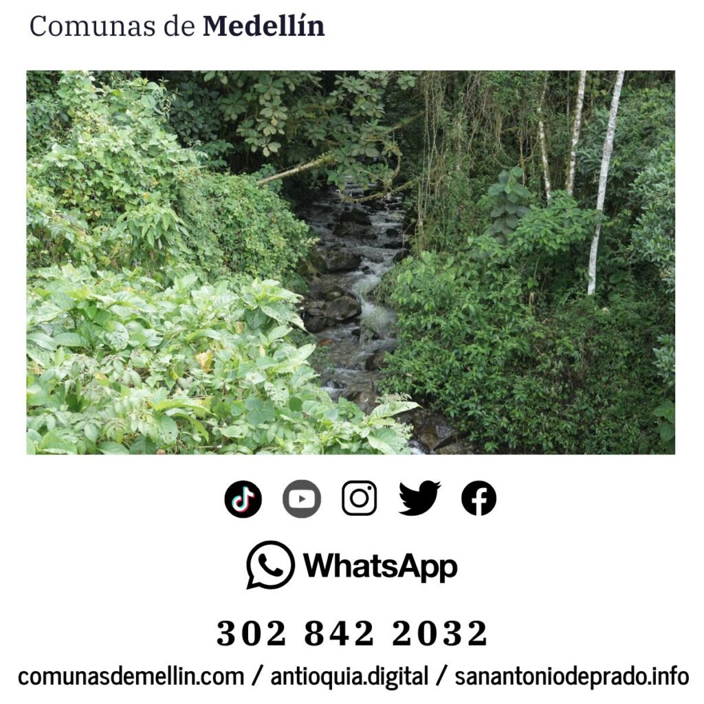 Medellín protege 4.178 hectáreas para asegurar agua
