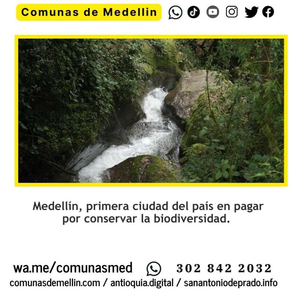 Medellín pagará por cuidar la biodiversidad