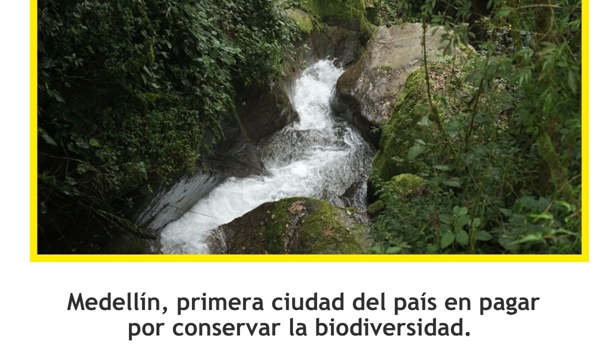 Medellín pagará por cuidar la biodiversidad