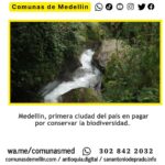 Medellín pagará por cuidar la biodiversidad