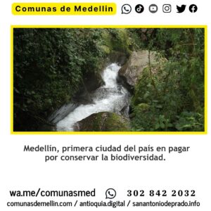 Medellín pagará por cuidar la biodiversidad