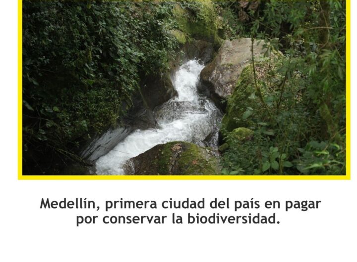 Medellín pagará por cuidar la biodiversidad