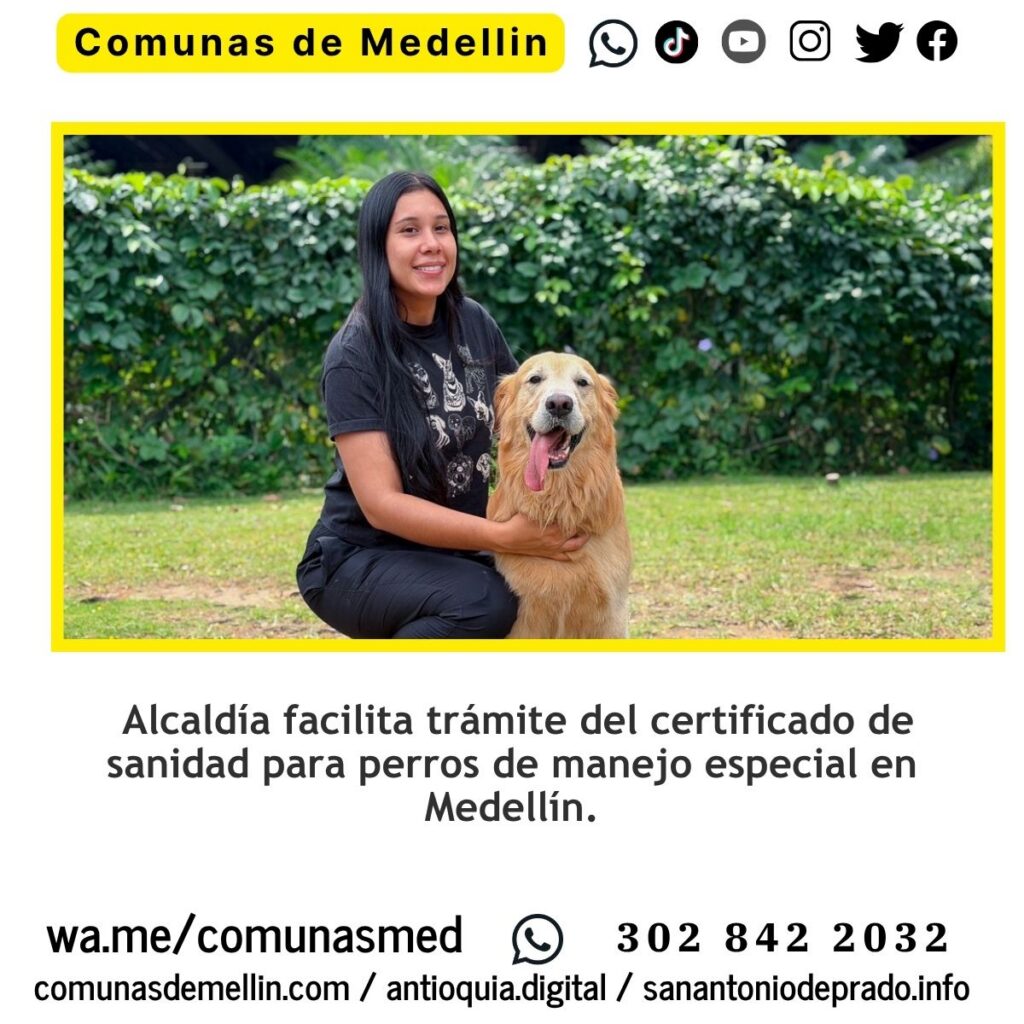 Facilitan certificado de sanidad para perros especiales