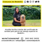 Facilitan certificado de sanidad para perros especiales