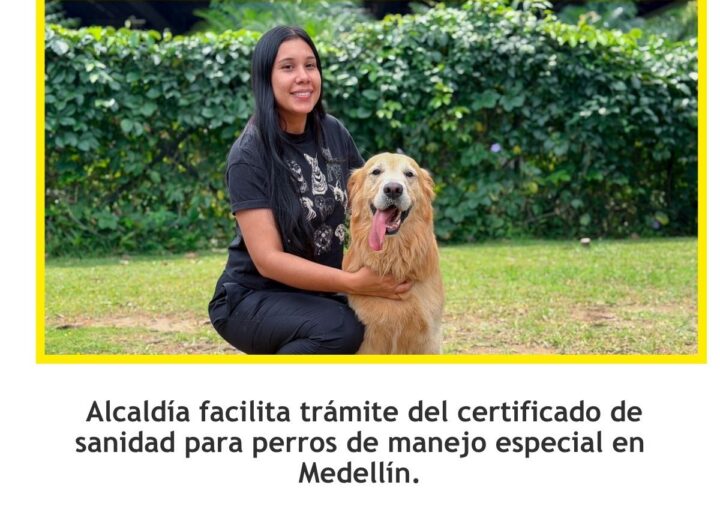 Facilitan certificado de sanidad para perros especiales