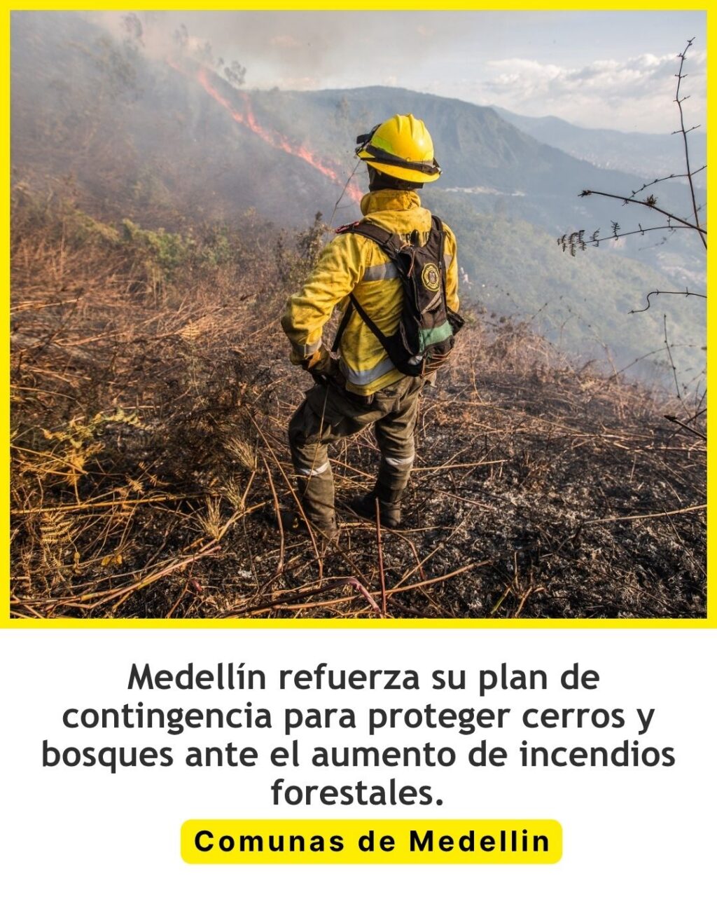 Medellín refuerza plan contra incendios forestales