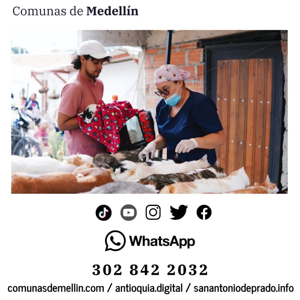 Medellín alcanza 55.000 esterilizaciones de mascotas