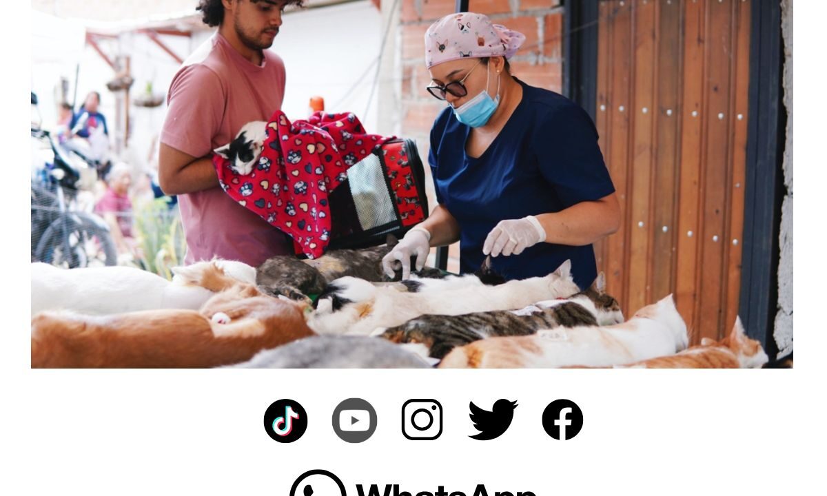 Medellín alcanza 55.000 esterilizaciones de mascotas