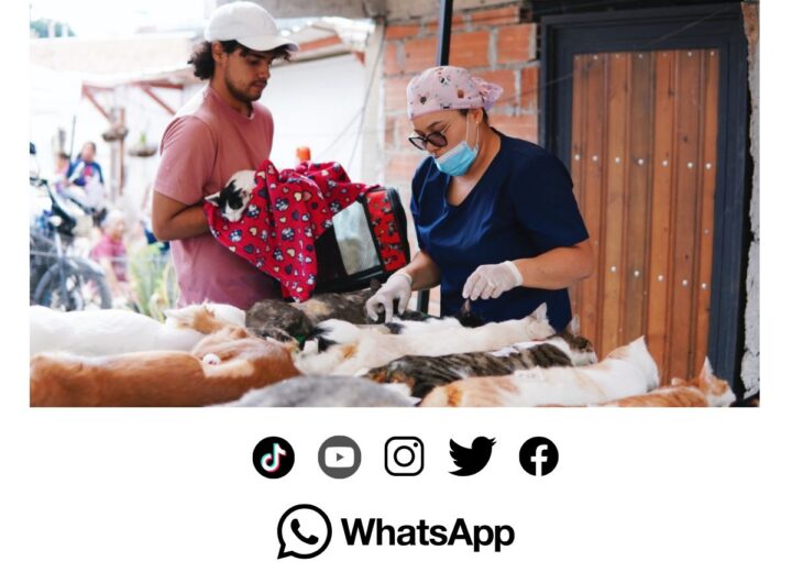 Medellín alcanza 55.000 esterilizaciones de mascotas