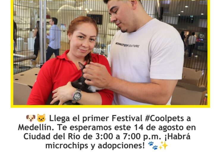 Medellín lanza Coolpets para el cuidado animal