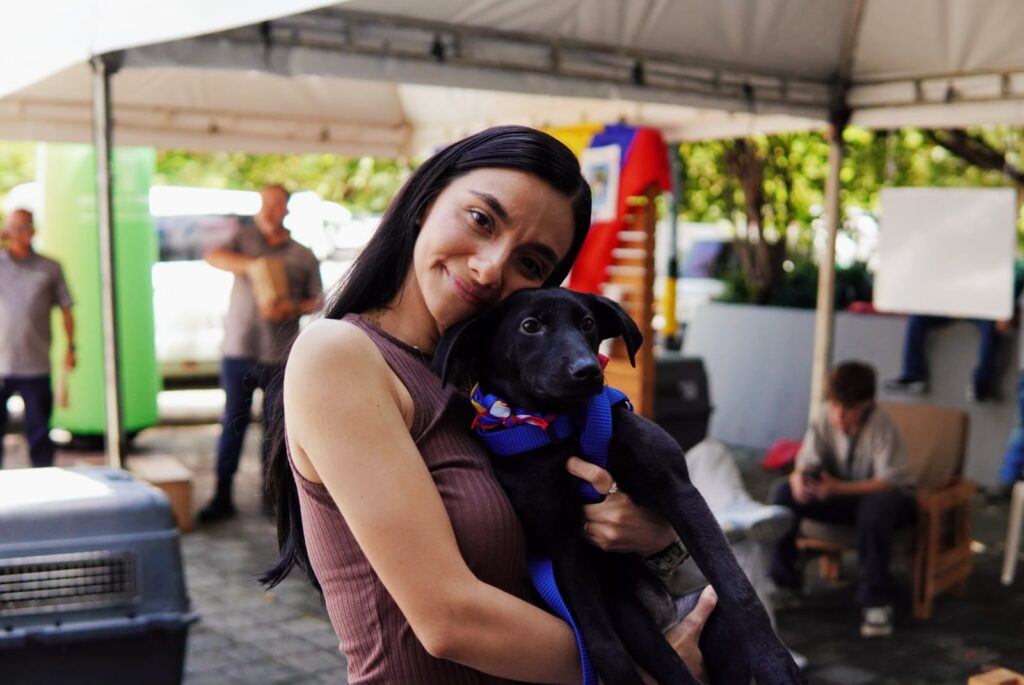 Tercera adoptatón del año en Medellín llega a Parques del Río