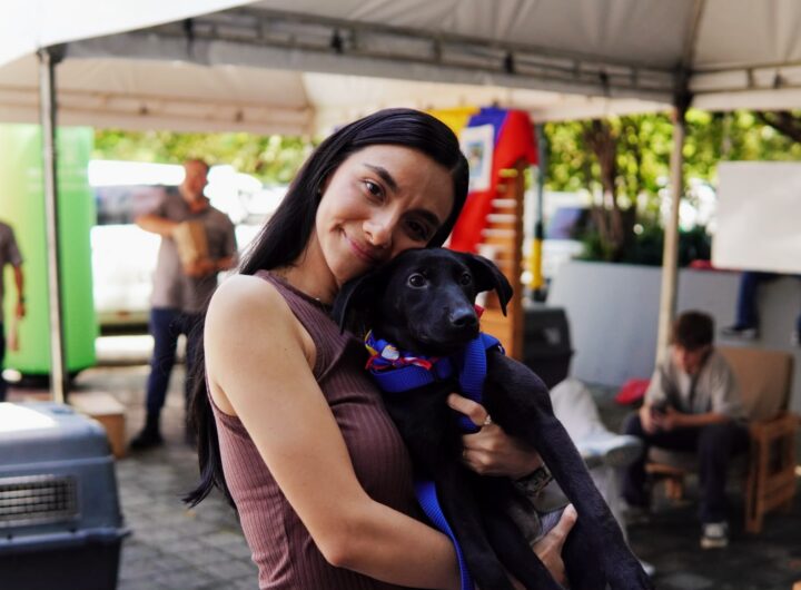 Tercera adoptatón del año en Medellín llega a Parques del Río