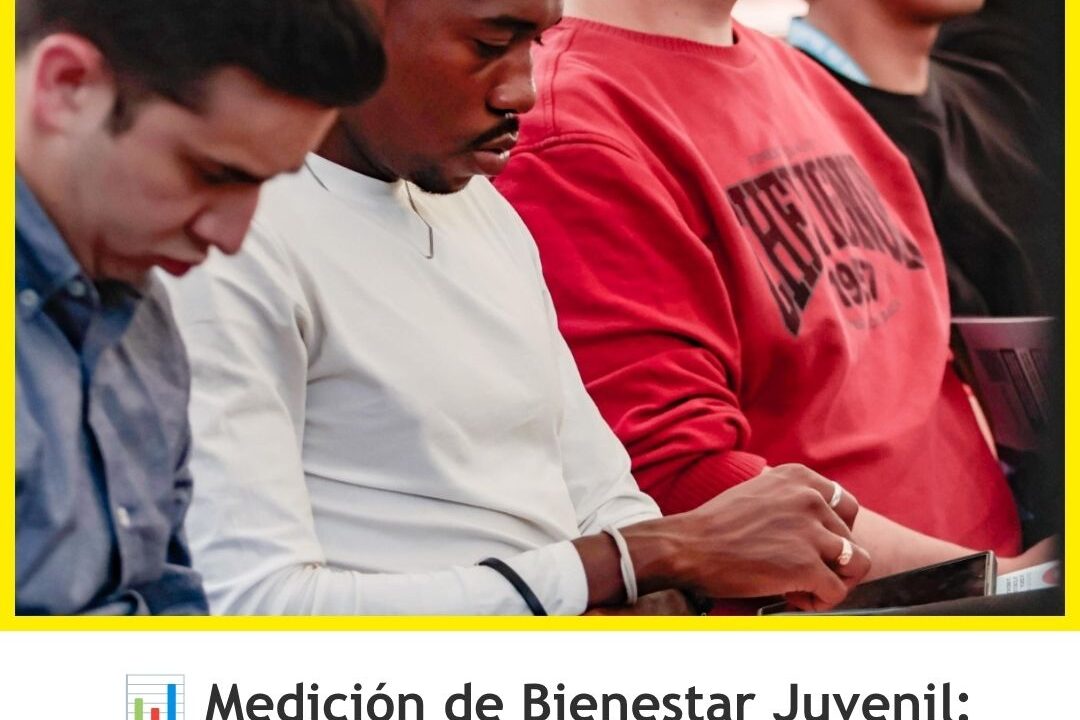 Primera Medición de Bienestar Juvenil en Medellín