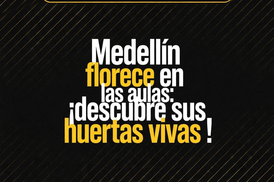 Medellín implementa más de 500 huertas escolares