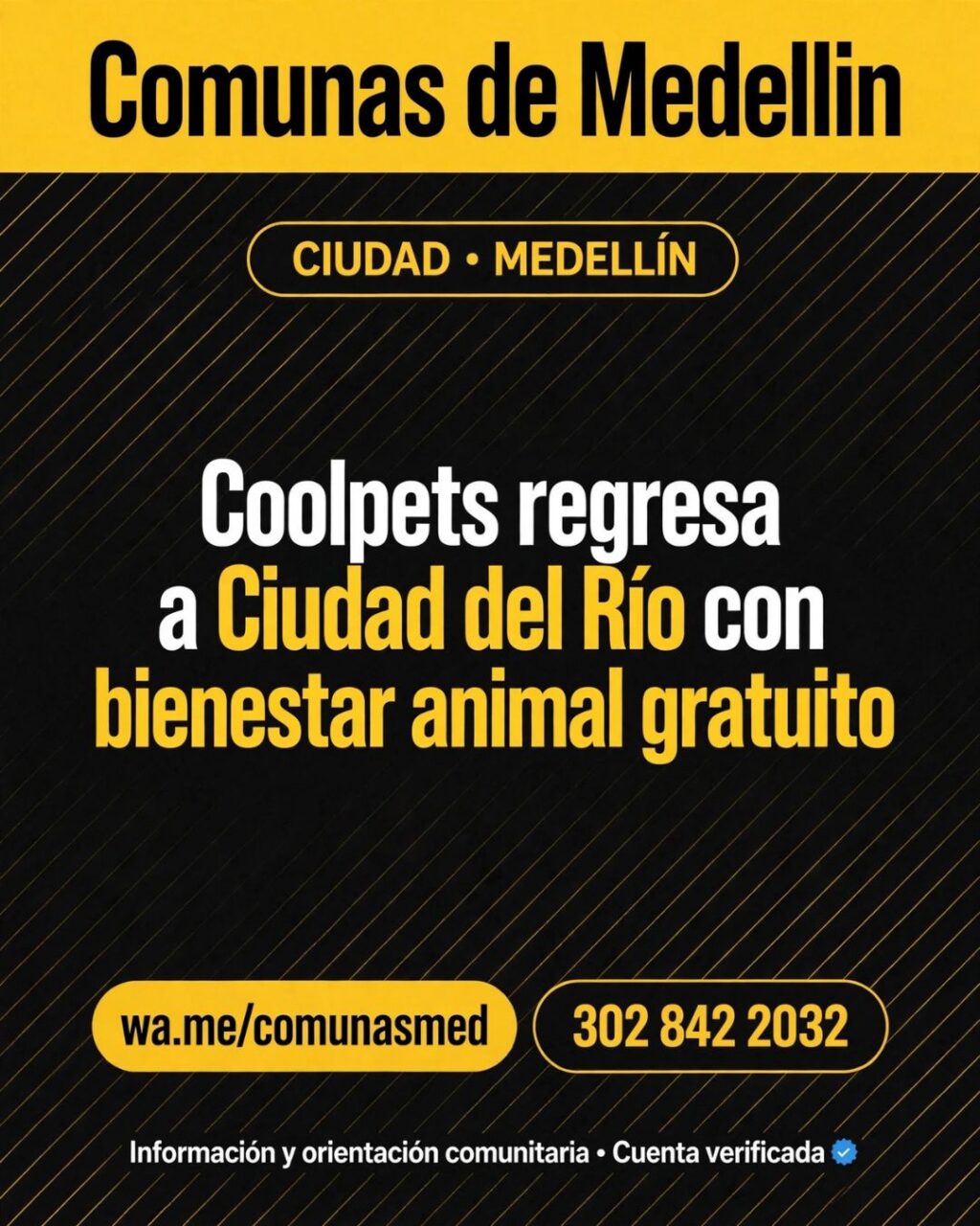 Jornada Coolpets en Ciudad del Río dará microchips gratis