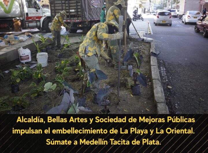 Cátedra ambiental en La Playa promueve espacio público