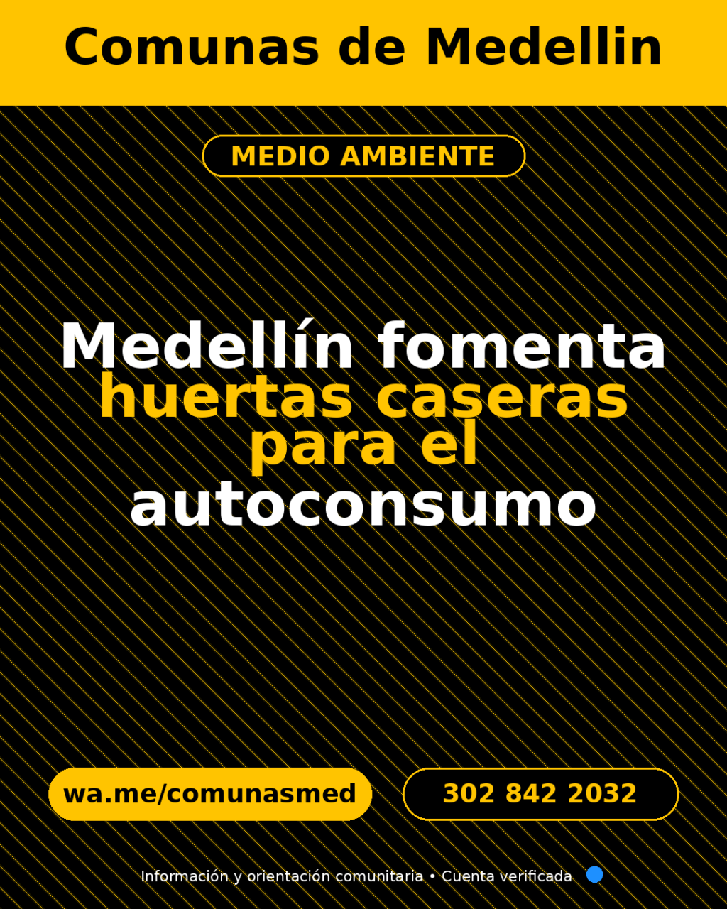 Medellín fomenta huertas caseras para el autoconsumo