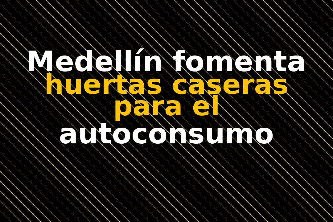 Medellín fomenta huertas caseras para el autoconsumo