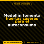 Medellín fomenta huertas caseras para el autoconsumo