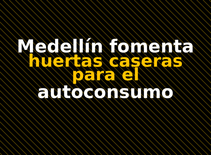 Medellín fomenta huertas caseras para el autoconsumo