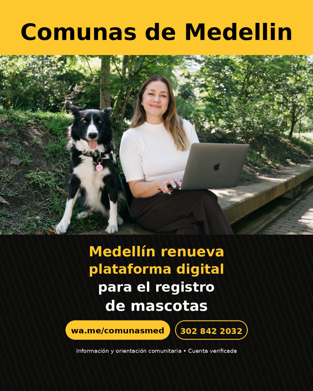 Medellín renueva plataforma digital para el registro de mascotas